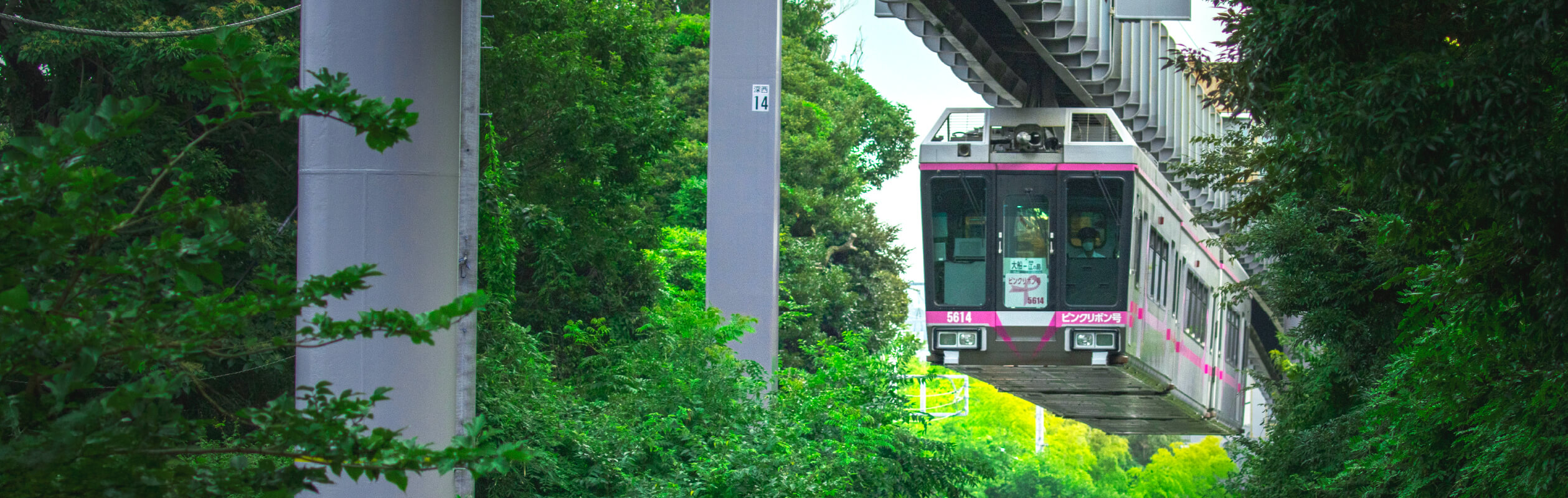 Shonan Monorail Pink Ribbon-Go Edition