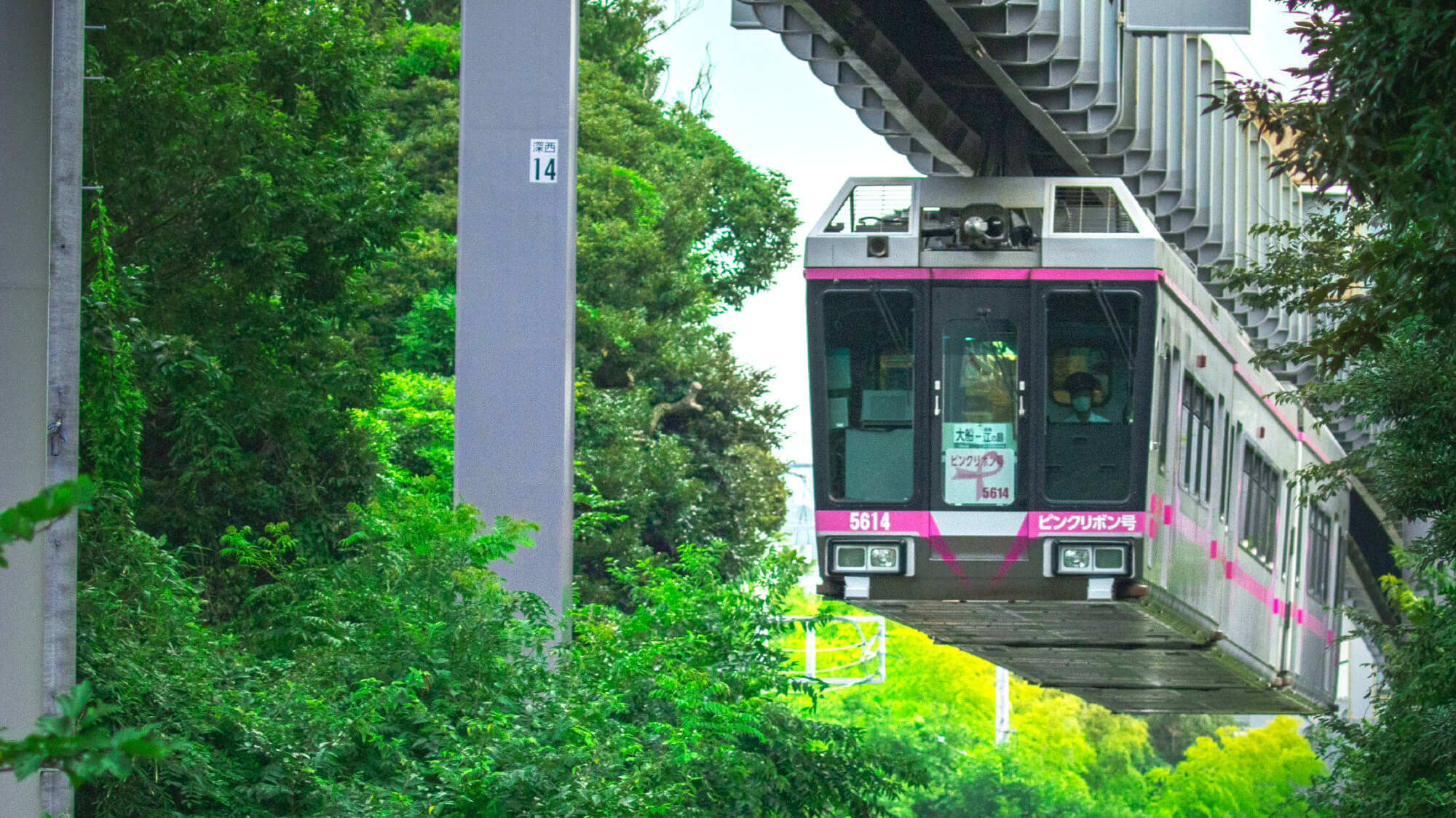 Shonan Monorail Pink Ribbon-Go Edition