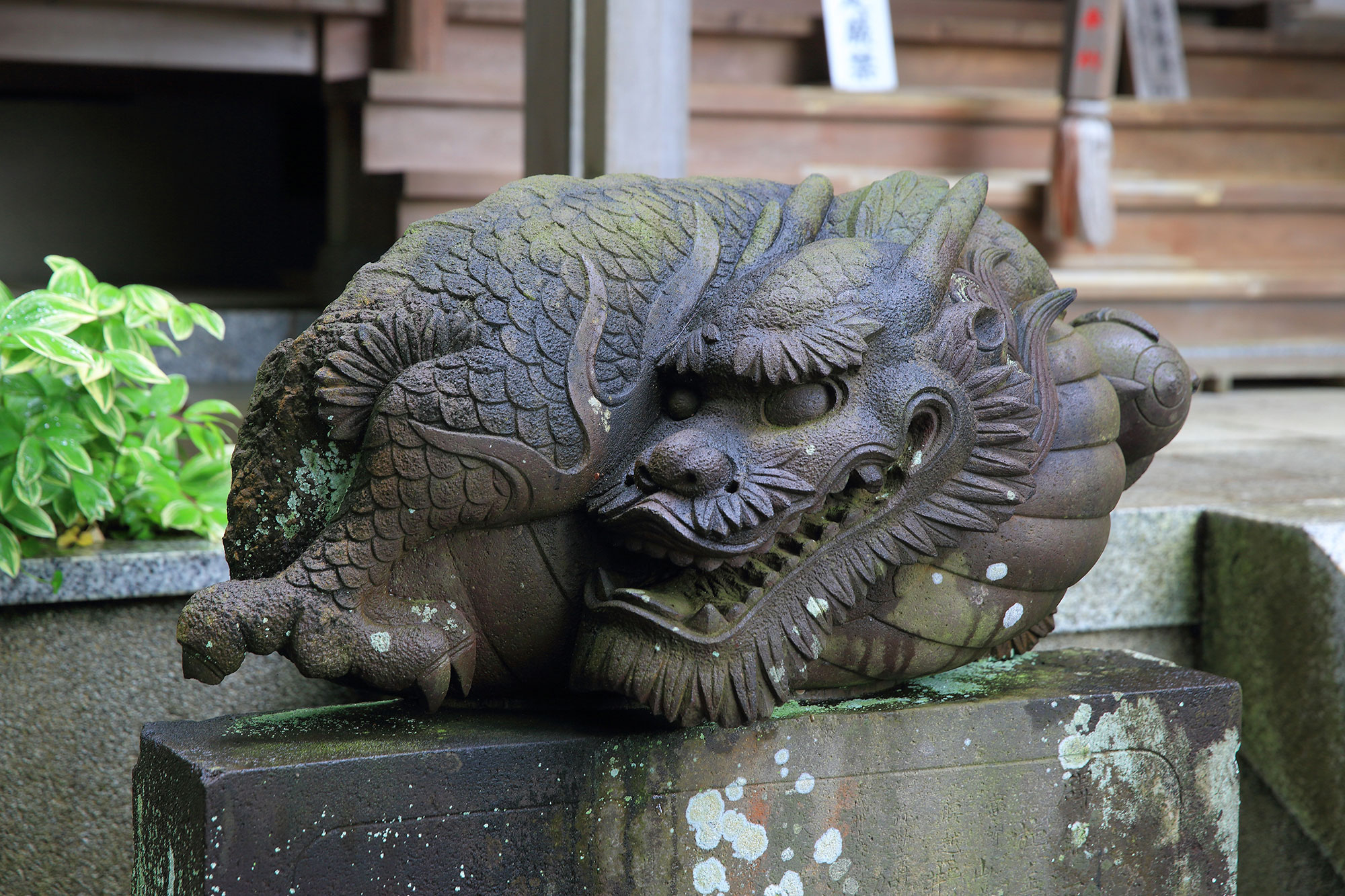 江の島への近道 湘南モノレール株式会社■ 龍口寺で龍を探せ